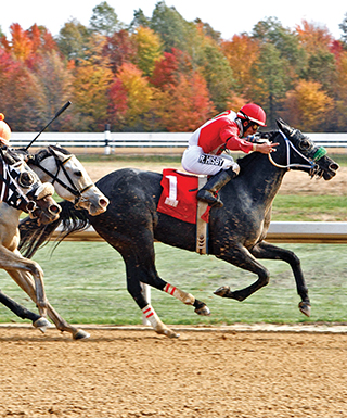 A horse pulls ahead at Mahoning Valley Race Course