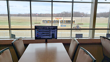 Harlans Holiday overlooking racetrack